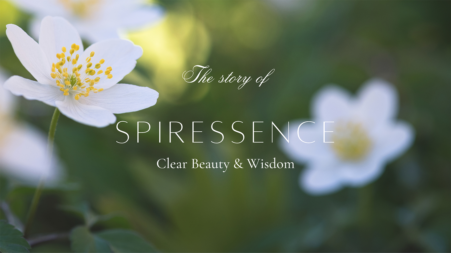 The story of Spiressence - the brand created by Melissa Sherley